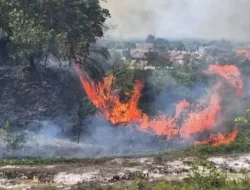 Hotspot Menurun, Gubernur Riau Tetap Minta Warga Siaga Hadapi Ancaman Karhutla