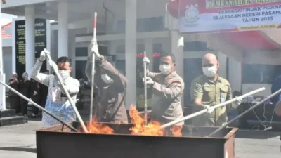 Kejari Pasbar Musnahkan Barang Bukti 49 Perkara, Termasuk Ganja dan Sabu