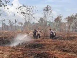 Lima Hektar Lahan yang Terbakar di Meranti, Masih Pendinginan