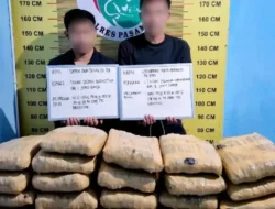 Satres Narkoba Polres Pasaman Gagalkan Peredaran 21 Paket Besar Ganja