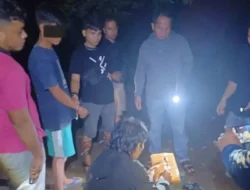 Satresnarkoba Polres Pasbar Amankan 1,4 Kg Ganja Kering di Kapa