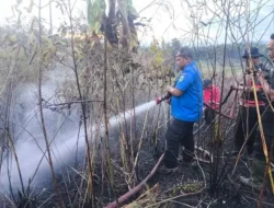 Pemprov Sumbar Tetapkan Status Siaga Darurat Karhutla 60 Hari