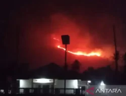 Petugas Damkar Solok Kerja Keras Padamkan Kebakaran Hutan dan Lahan