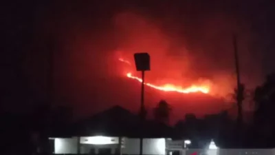 Petugas Damkar Solok Kerja Keras Padamkan Kebakaran Hutan dan Lahan