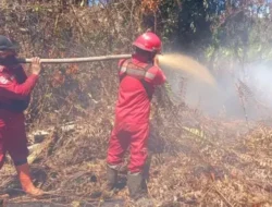 Setelah 19 Hari, Karhutla di Tanjung Peranap Selesai