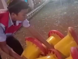 Dunia Pendidikan Pasaman Tercoreng,  Siswa PKL Jaringan Komputer Disuruh Bereskan Kandang Ayam