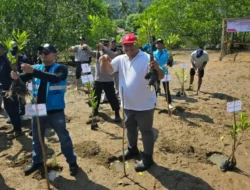 PT Semen Padang Tanam 1.000 Bibit Mangrove di Sungai Pisang, Dukung Pelestarian Pesisir dan Ekosistem Laut