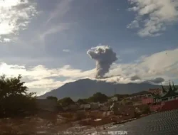 Gunung Marapi Erupsi, Kolom Abu Capai 1.600 Meter