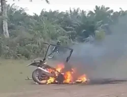 Pencurian Buah Sawit, Warga Pasbar Bakar Sepeda Motor Pelaku