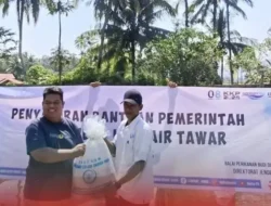 Hasil Lobi Walikota, Padang Panjang Terima Bantuan Induk Ikan dari BPBAT Jambi