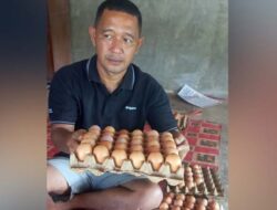 Dari Honorer Jadi Juragan, Rinaldi Sikumbang Sukses Kembangkan Ayam Buras