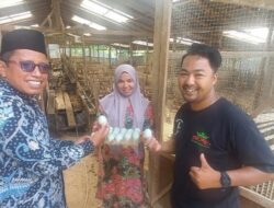 Kades Batu Tanjung Marwan Gencar Dorong Ekonomi Masyarakat Dengan Ternak Itik