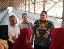 UD Jaenab Fresh Farm Eggs Bangun Peternakan Ayam petelur di Pariaman