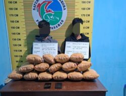 Polres Pasaman Tangkap Dua Warga Padang Diduga Miliki 15 Paket Ganja