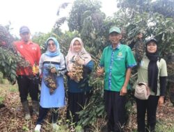 Nagari Kurnia Selatan Dharmasraya Jaga Ketahanan Pangan