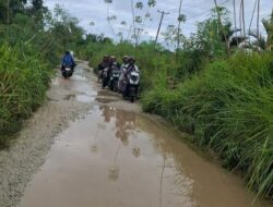 Dikeluhkan Masyarakat, Dinas PUPR Janji Perbaiki Jalan Poros Mengkikip Tahun Depan