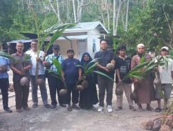 Perantau Silungkang Serahkan 400 Bibit Kelapa Hibrida untuk Dukung Ketahanan Pangan 