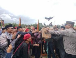 Selamatkan Ekosistem, Larangan Berburu Burung Jadi Peraturan Adat di Nagari Lasi