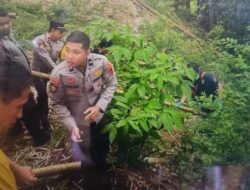 Jasad Bayi Terpotong Tiga Ditemukan di Ngarai Sianok Bukittinggi