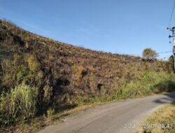 Kebun Serai Wangi BBS Sawahlunto Terbakar, Produksi Penyulingan Minyak Atsiri Terhenti