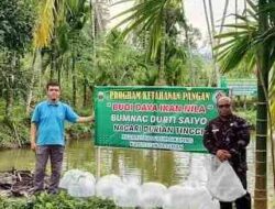Dukung Ketahanan Pangan, BUMNag Durti Saiyo Tebar 25000 Ekor Ikan Nila