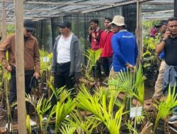 DPRD Desak PT NSP Tuntaskan Kewajiban Tanaman Kehidupan untuk Masyarakat