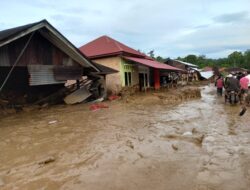 Selamat dari Galodo,  Inilah Kisah Mur di Kayu Pasak, Palembayan.