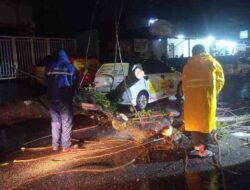 Padang Dilanda Cuaca Ekstrem, 18 Pohon Tumbang