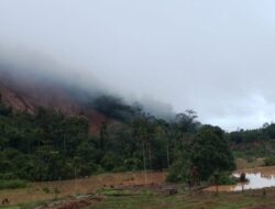 Longsor di Nagari Sinuruik, Enam Warga Diduga Tertimbun
