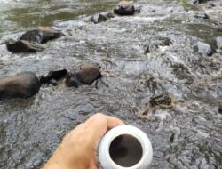 Limbah PT TKA dan PT DL Pengelola Kelapa Sawit Diduga Cemari Ekosistem Sungai 