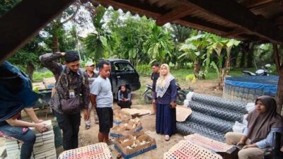 16 KUB Terima Bantuan Peternakan Senilai Rp 1,38 Miliar dari Pemkab Dharmasraya