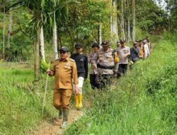 Gunakan Jembatan dari Pohon Kelapa, Warga Subarang Luak Batipuah Tidak Lagi Terisolasi
