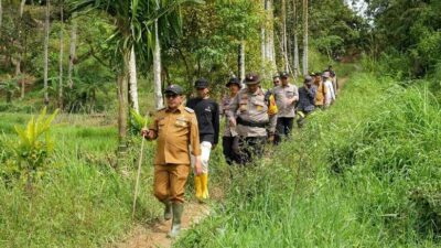 Gunakan Jembatan dari Pohon Kelapa, Warga Subarang Luak Batipuah Tidak Lagi Terisolasi