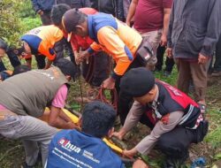 Evakuasi Jenazah dari Ngarai Sianok Dramatis, Walinagari Nekat Turun dengan Tali