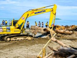 Semen Padang Turun Tangan Bersihkan Kayu di Pantai Parupuk, Wamenhut: Target 3 Hari Bersih!