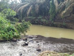 PT DL dan PT TKA Terancam Sanksi Berat Karena Diduga Lalai Kelola Limbah