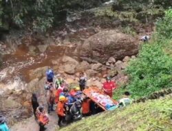 Minibus Membawa Tujuh Penumpang Terjun ke Jurang di Kawasan Kelok 9