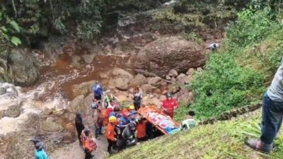Minibus Membawa Tujuh Penumpang Terjun ke Jurang di Kawasan Kelok 9