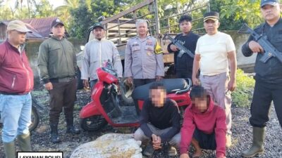 Aksi Pencurian 70 Kg Sawit di PT Incasi Raya Sodetan Berhasil Digagalkan