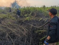 Lahan Langganan Karhutla Terbakar di Pulau Merbau, Api Padam Sebelum Magrib