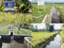Petani di Pariaman Selatan Lega, Irigasi Anai II Sudah Berfungsi