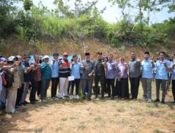 Gubernur Sumbar Usulkan Wakaf Pohon bagi Pengantin, Apresiasi Dukungan Semen Padang di Gerakan Sejuta Pohon