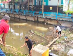 Dinas Perkim LH Pariaman Bersihkan Aliran Sungai Batang Air Pampan dari Tumpukan Sampah dan Pohon Tumbang
