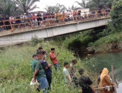 Diduga Sungai di Sijunjung Tercemar Limbah Pabrik PT SKA, Banyak Ikan Mati