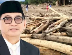Ledakan 5 Juta Pemudik Intai Sumbar! Mastilizal Aye Desak Pemko Bersihkan Sampah Kayu di Pantai Parkit