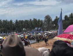 Penonton Membludak Saksikan Pacu Kudo di Padang Pariaman