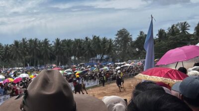 Penonton Membludak Saksikan Pacu Kudo di Padang Pariaman
