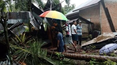 Warga Pasaman Barat Tewas Tertimpa Pohon Kelapa Tumbang