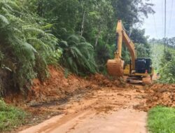 Akses Kecamatan IX Koto Terbuka Lagi dan Listrik Menyala Kembali