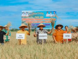 BUMDes Sejahtera Mandiri Desa Toboh Palabah Gelar Panen Raya